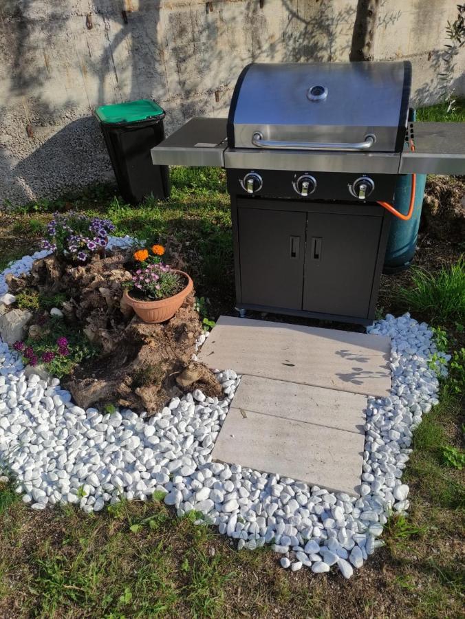 Dal Mariano Apartman Brenzone sul Garda Kültér fotó
